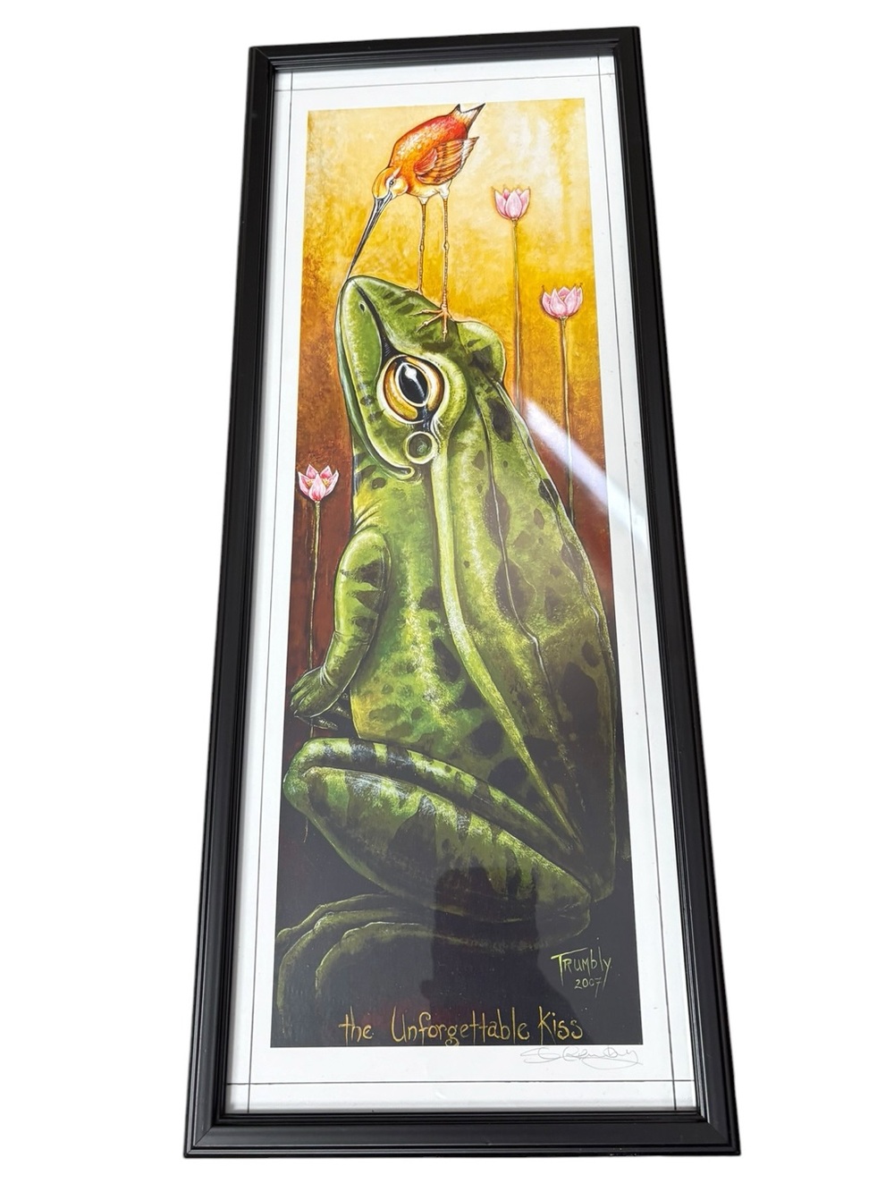 Framed 'The Unforgettable Kiss' Frog & Bird Art Print Shanna Trumbly 20"x8"